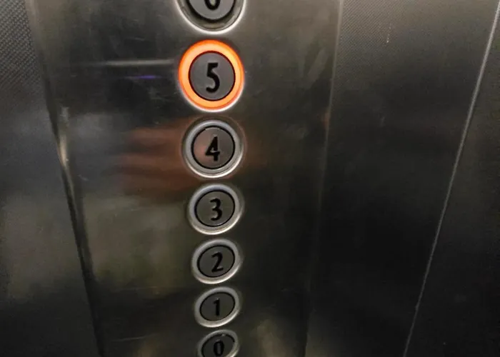 Daire Vogli Group 1 *